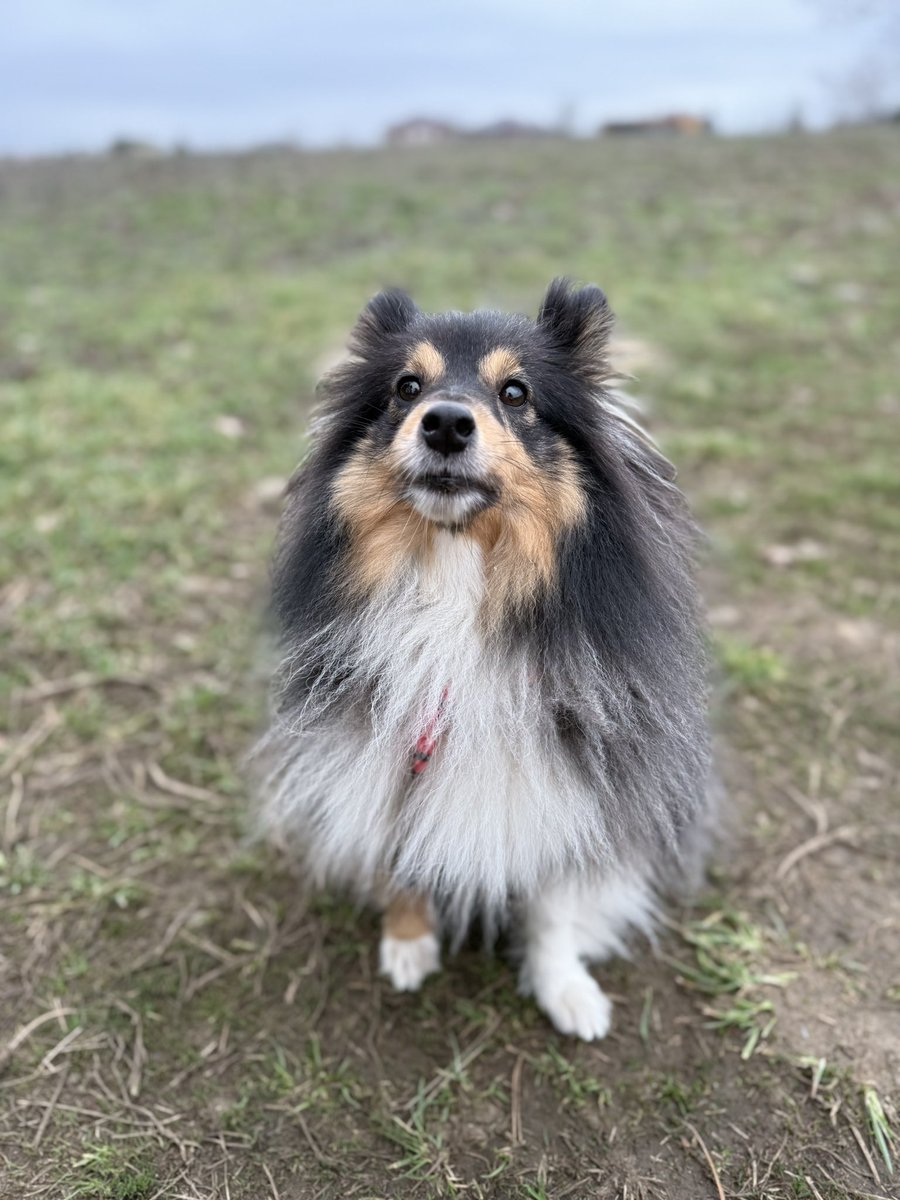 Пражский кимпаб tweet media