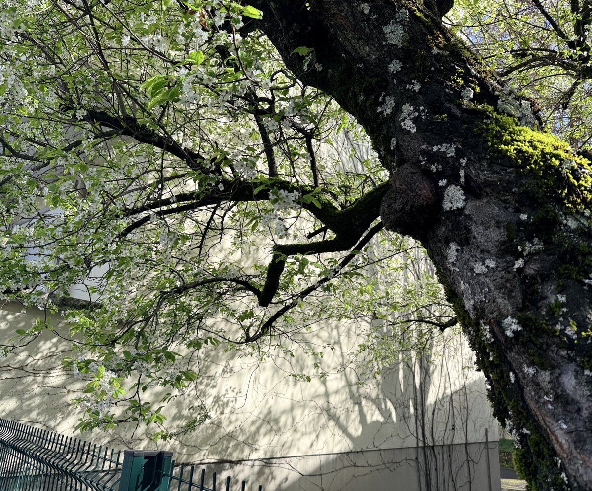 이훤 Jinwoo Hwon Lee tweet media