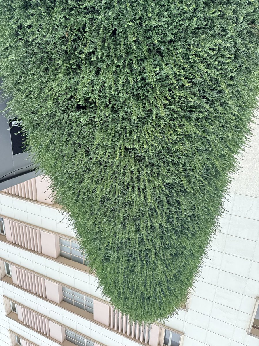 이훤 Jinwoo Hwon Lee tweet media