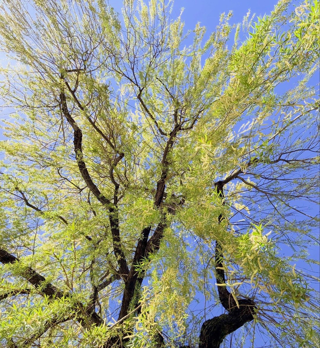 이훤 Jinwoo Hwon Lee tweet media