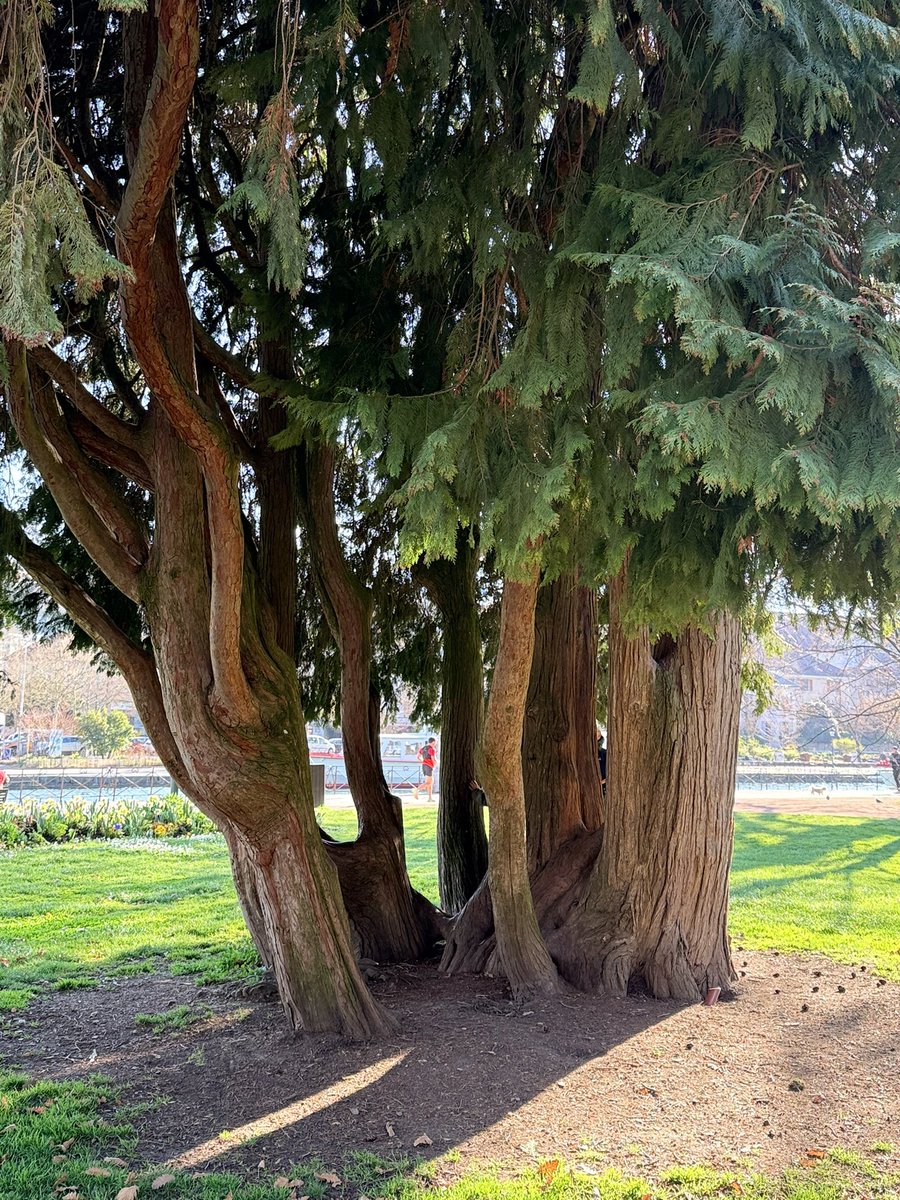 이훤 Jinwoo Hwon Lee tweet media