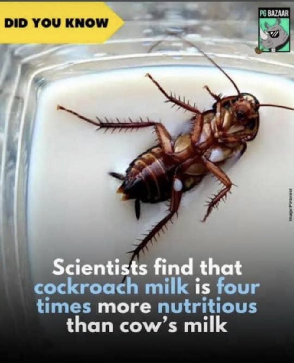 HORLAMIDEY🧸💫 tweet media