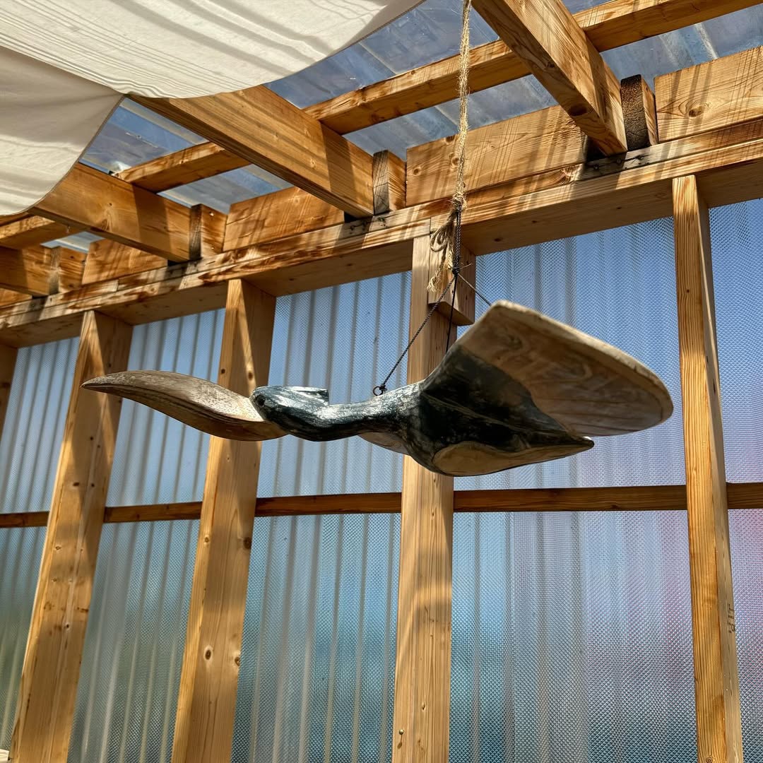 Lee Jongwon tweet media