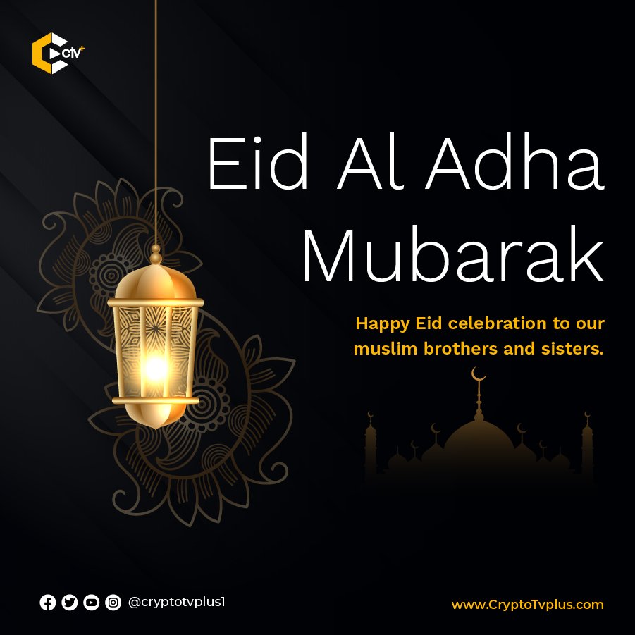 CryptoTvplus tweet media