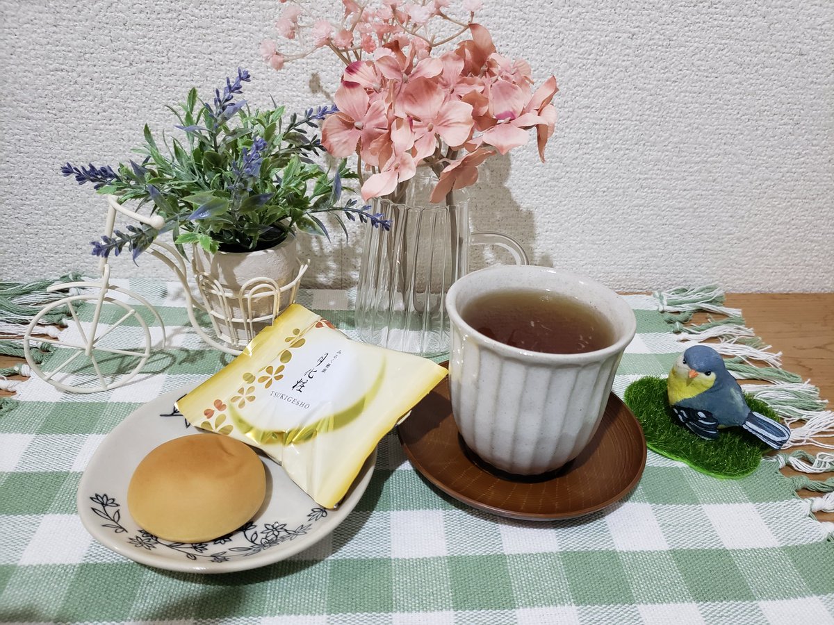 スターネス tweet media