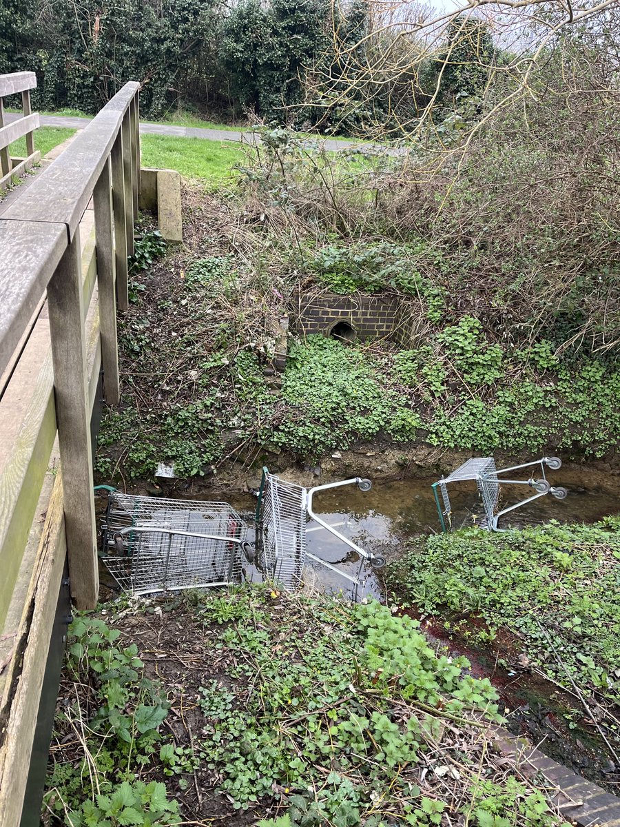 Daniel Westbury tweet media