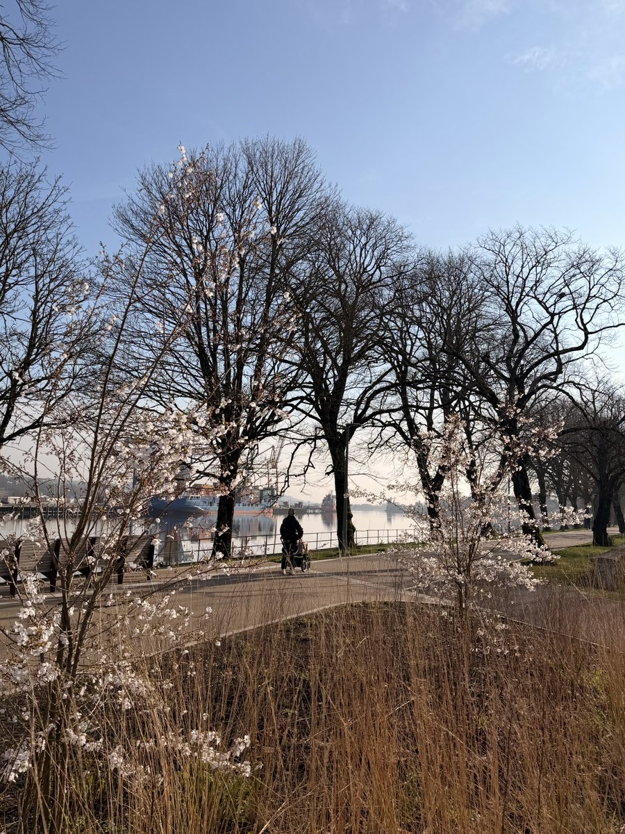 Fionnuala O’Herlihy tweet media