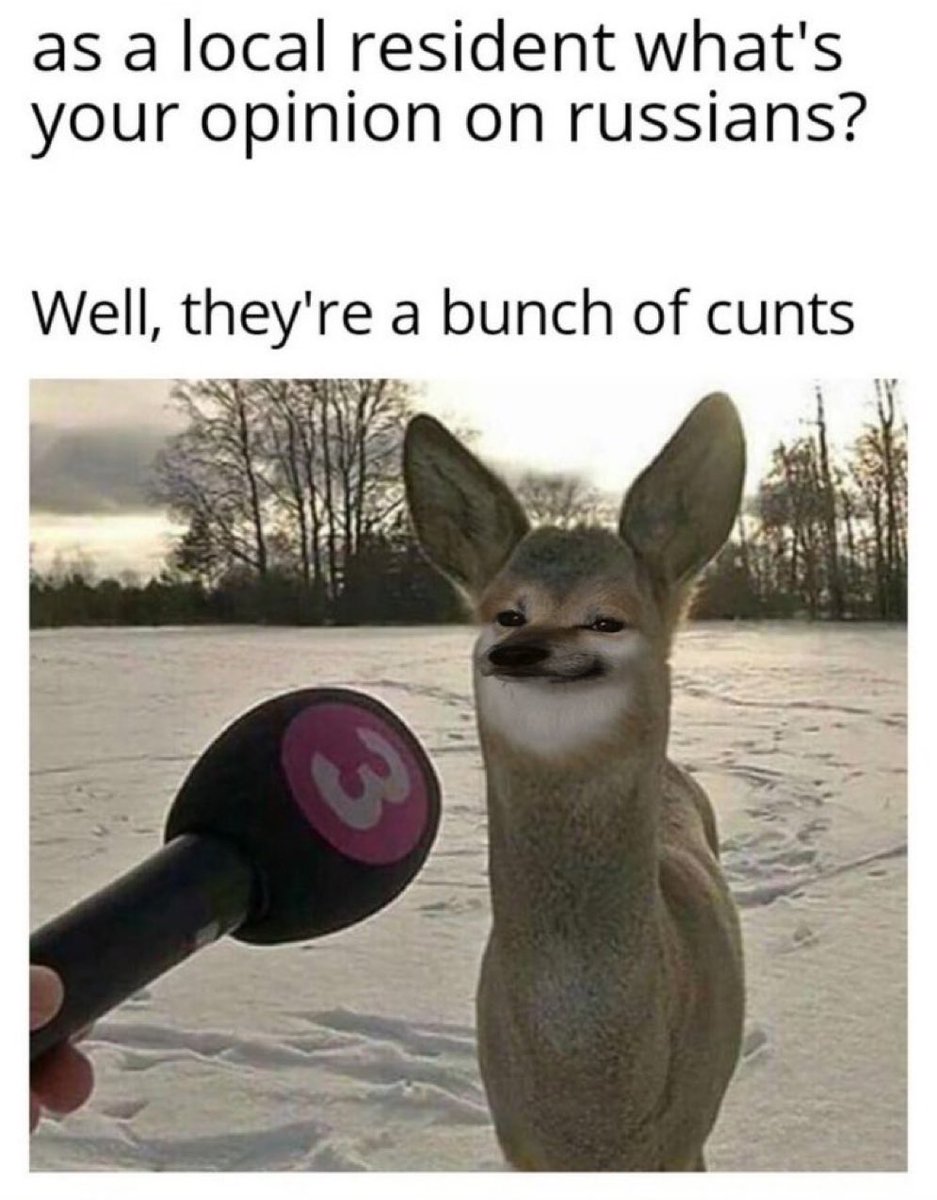 FireFella tweet media