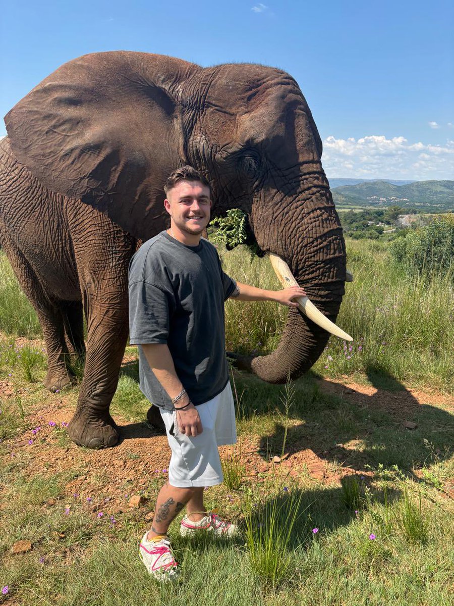 Digi (Delusional) tweet media