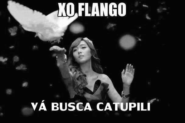 Deco🐉 tweet media