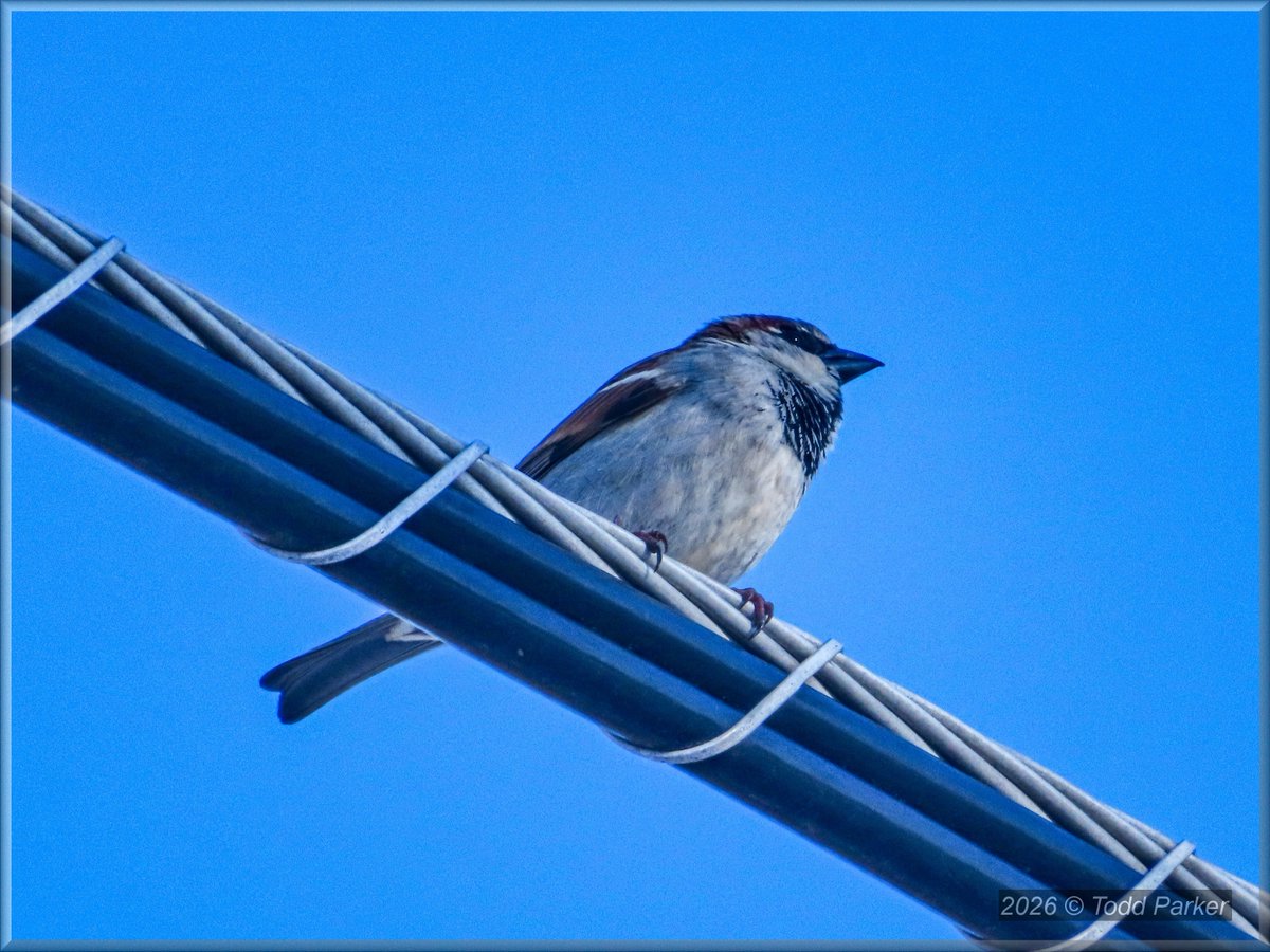 💞 Kitty Haven ⚥ 💞 tweet media