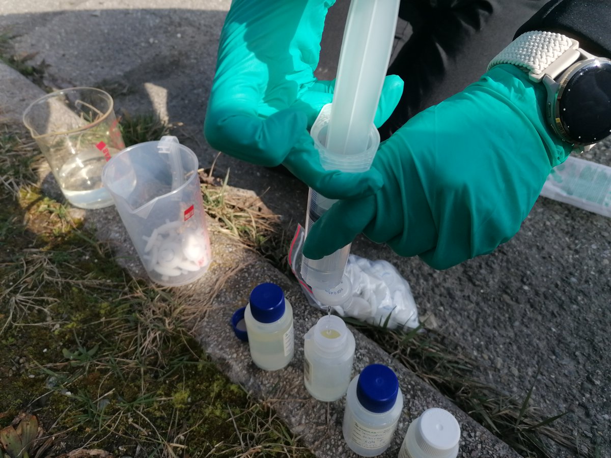 mibirem's tweet photo. Field Notes from #Sensatec GmbH courtesy of Jessica Beyert ✨ 
👇 
"At the end of February, oxygen injection began at the #Stockach site, marking the start of full-scale remediation of the cyanide groundwater contamination. 
This is an in-situ biological remediation measure. A groundwater circulation cell will first be set up in the hot spot area. To stimulate the microbial degradation processes, the inflowing groundwater will be enriched with oxygen. 
Once a stable oxygen concentration has been achieved in the groundwater within the circulation cell, glucose will be added as a carbon source. From this point on, the microorganisms have sufficient oxygen and readily available carbon at their disposal to degrade the cyanide by using it as a nitrogen source. In the further course of the project, bioaugmentation with a laboratory culture containing bacterial strains selected for the degradation of complex cyanide compounds is also planned. 

As part of the EU research project @mibirem  the remediation measure is being monitored by means of close sampling. Samples are taken not only for chemical analysis, but also for the isolation of environmental DNA. The MIBIREM research partners hope that this will provide deep insights and a better understanding of the microbial processes during such a remediation measure, which can then also be used to optimize the remediation." 💫

#Bioremediation #GroundwaterRemediation #CyanideRemediation #Microbiome