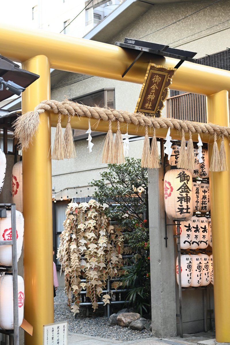 CAVYHOUSE@こふんは生きている発売中！ tweet media