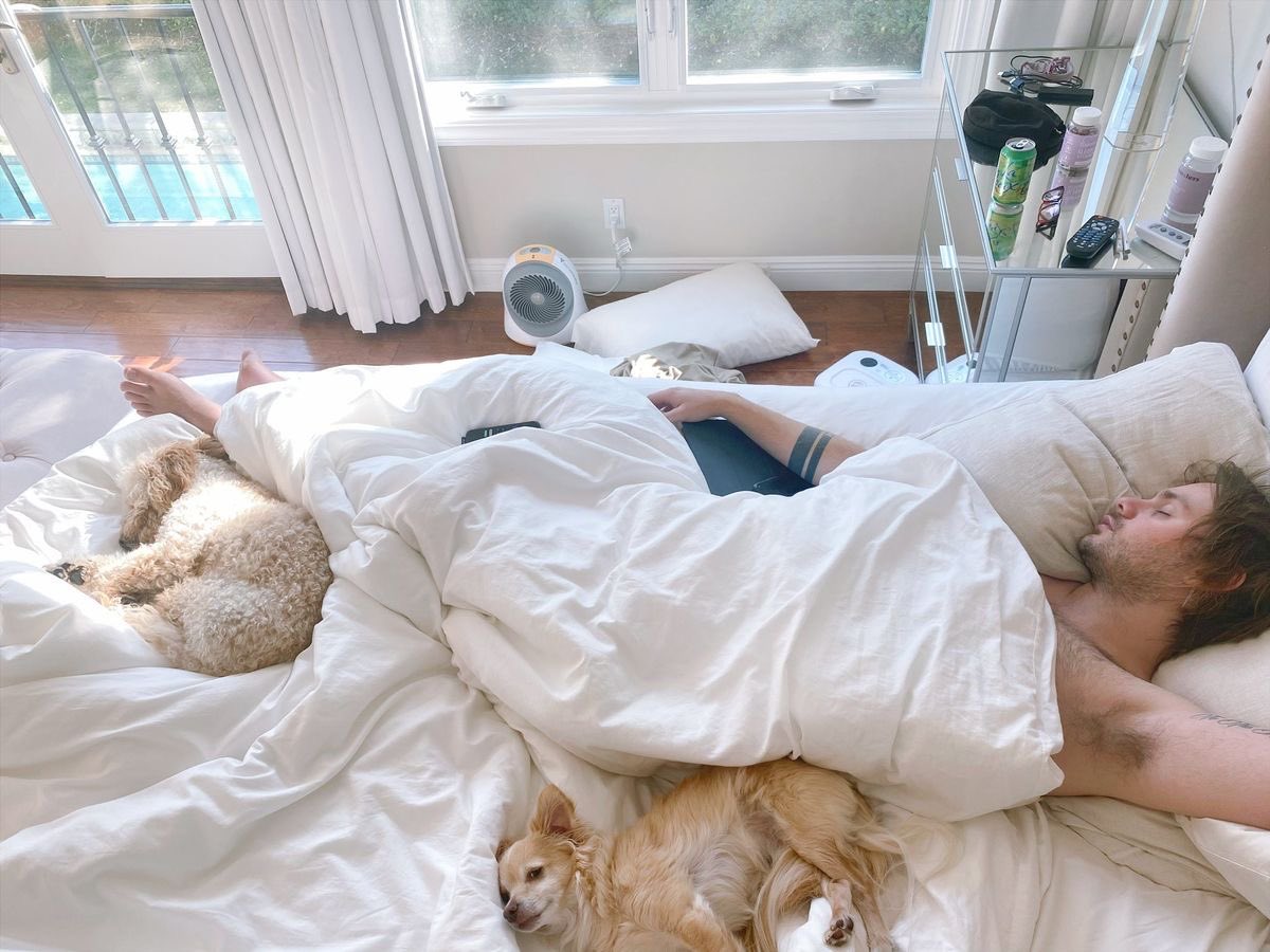 acidgreeneyes's tweet photo. being  a  lover  boy  got  him  to  sleep  in  today  lmao ,  it’s  @waerwolfs  fault . https://t.co/wnSON39sH5