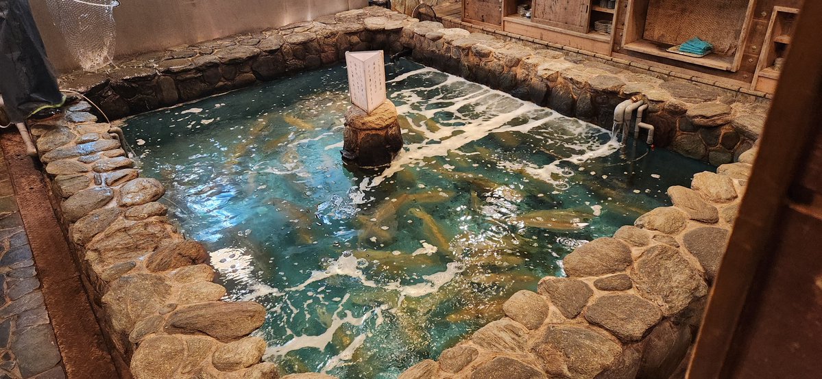 オラフ tweet media