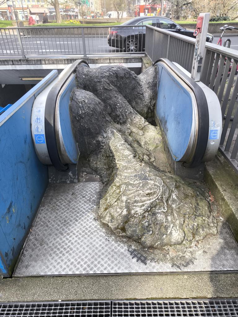 𝑷𝒐𝒍𝒊𝒕𝒑𝒓𝒊𝒎𝒂𝒕 🐒 ¯\_(ツ)_/¯ tweet media