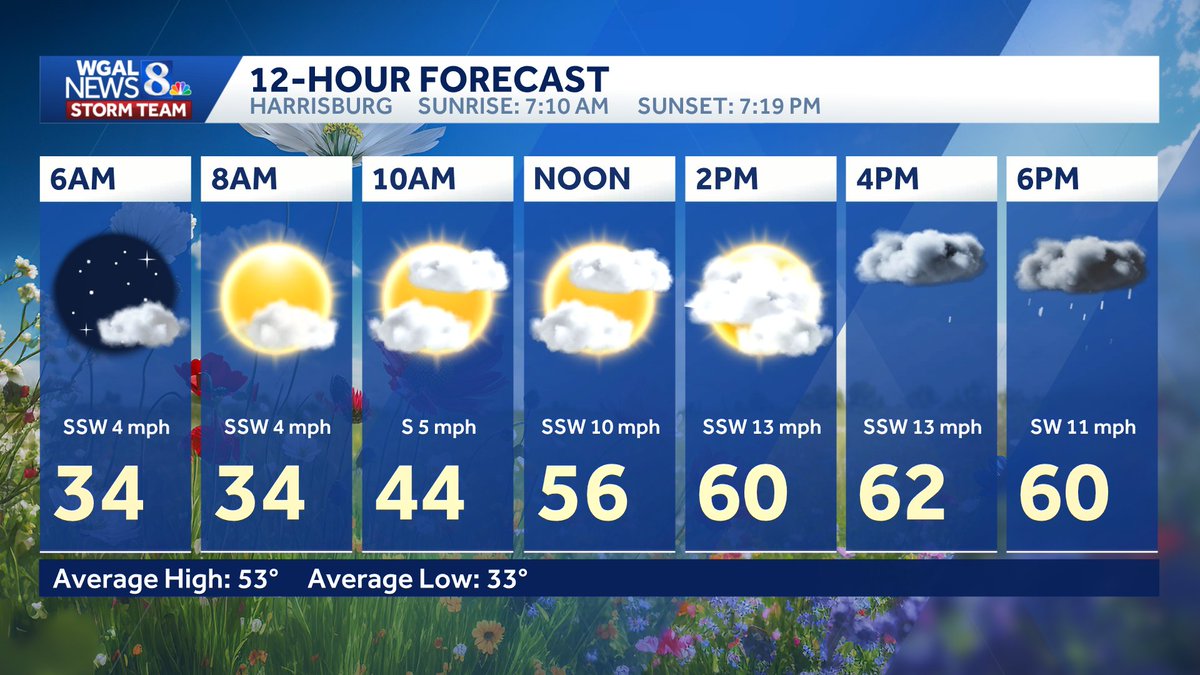 Christine Ferreira tweet media