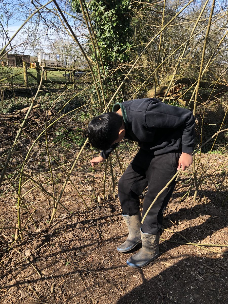 Meadow View Farm Sch tweet media