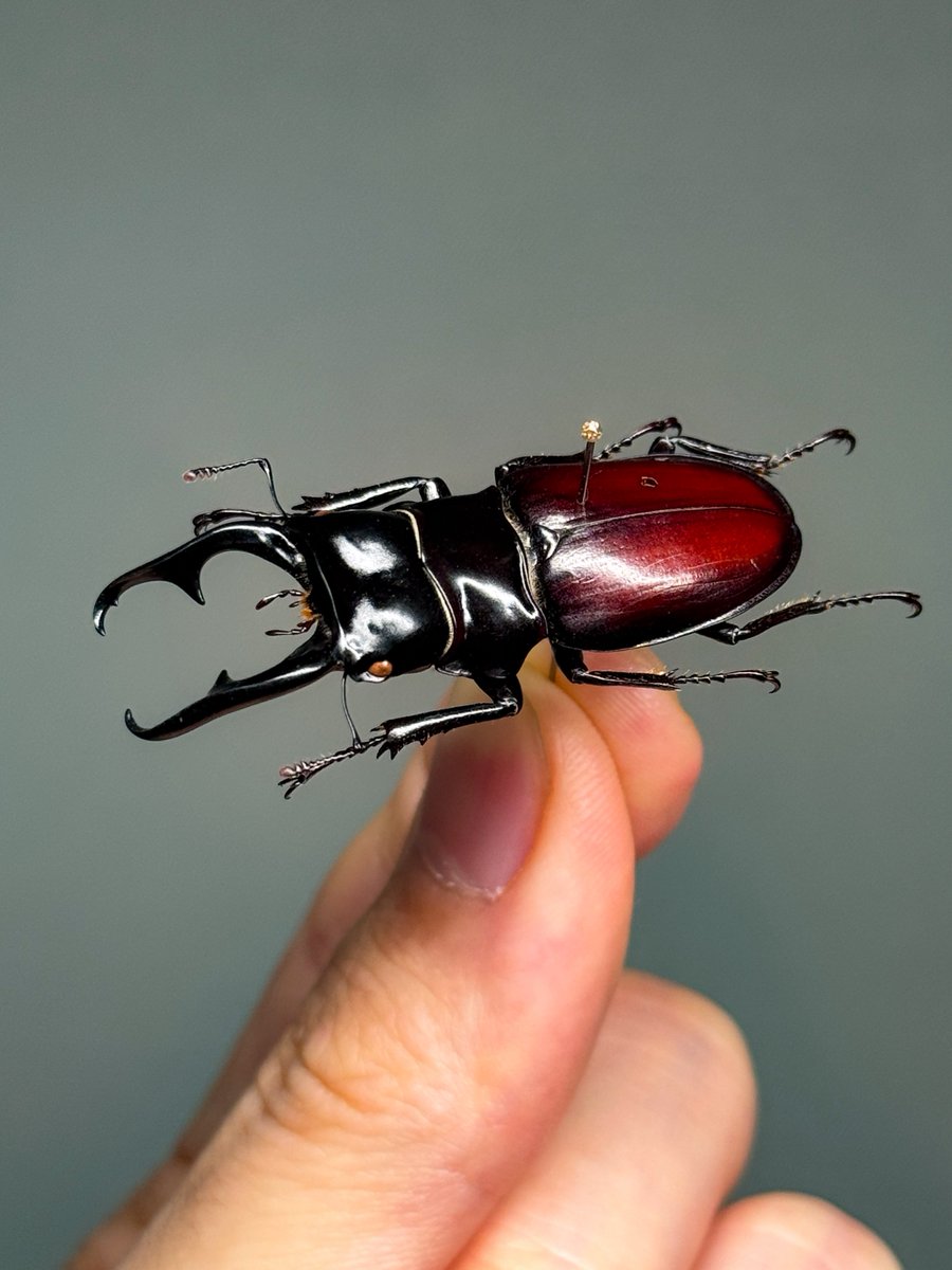 Keiki FUKUI 福井敬貴 tweet media