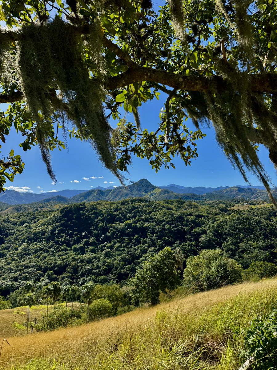 "SOLO LAS PERSONAS EDUCADAS SON LIBRES."
La educación, en el sentido estoico, tiene que ver con comprenderse a uno mismo, tomar decisiones informadas y controlar las propias reacciones. 

Epícteto.