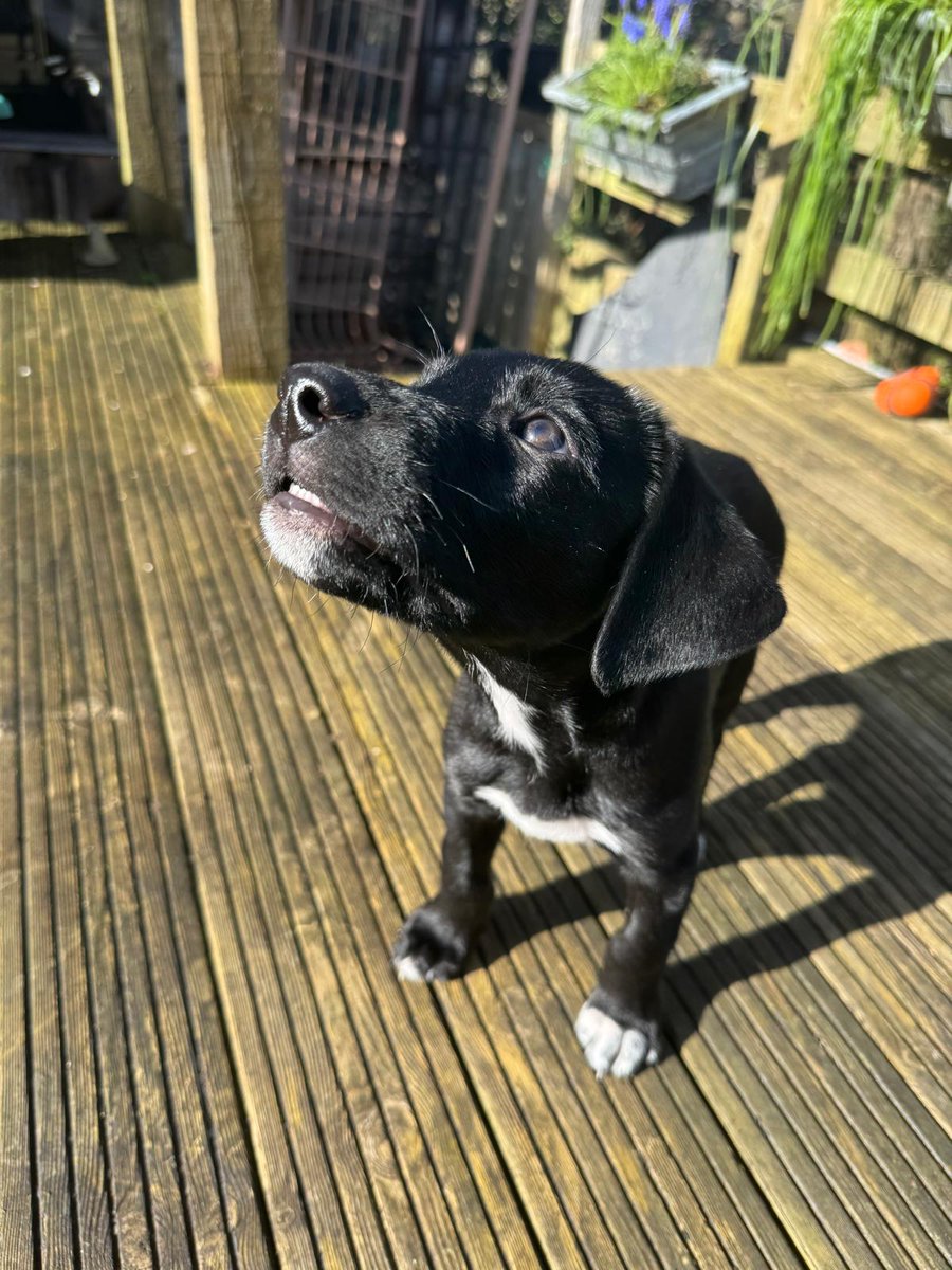 DeadGoodTees tweet media