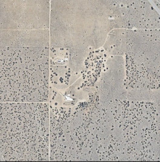 StarPlatinum tweet media