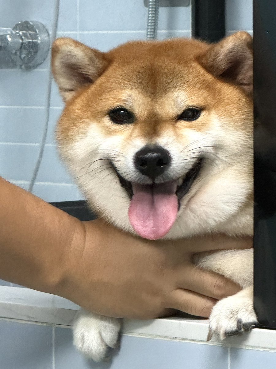 Pixels.AI tweet media