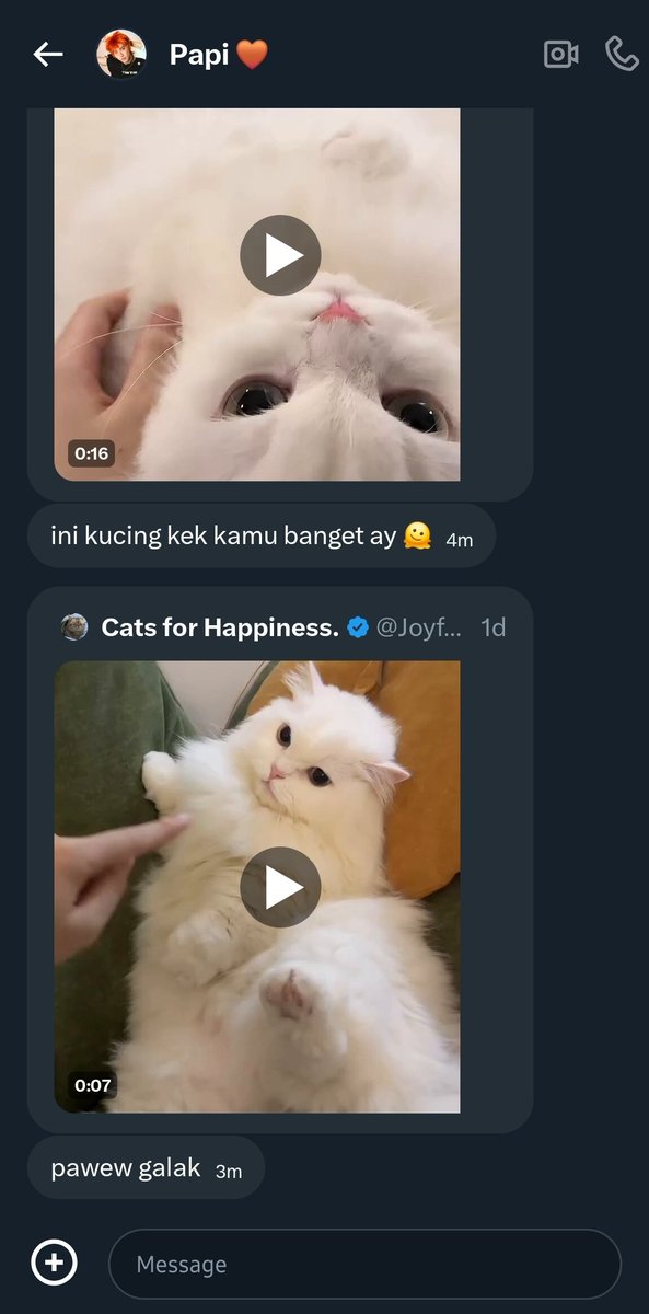 𝑷𝒂𝒗𝒆𝒍 tweet media