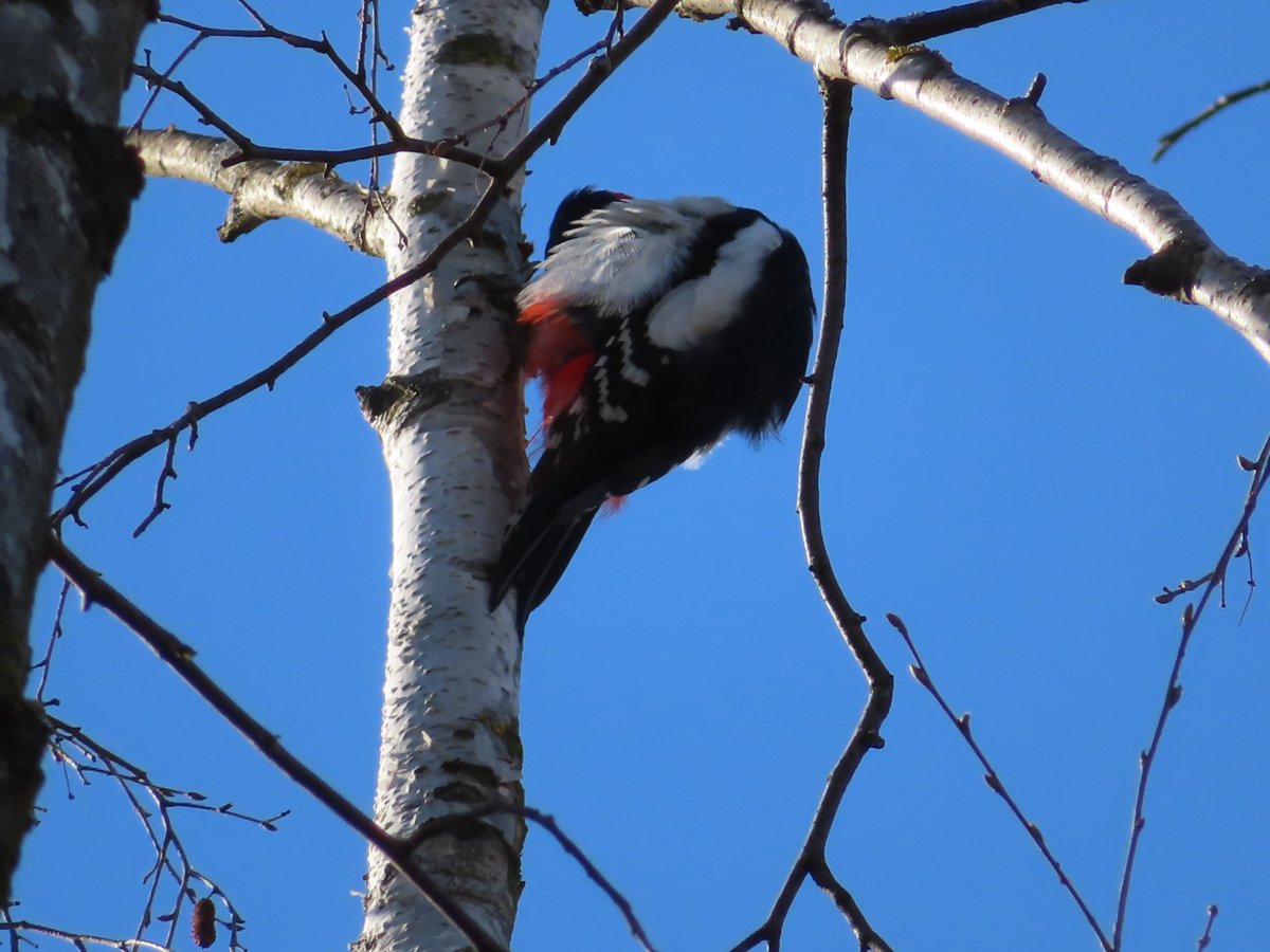 Fuchsi_beyond_Funny tweet media