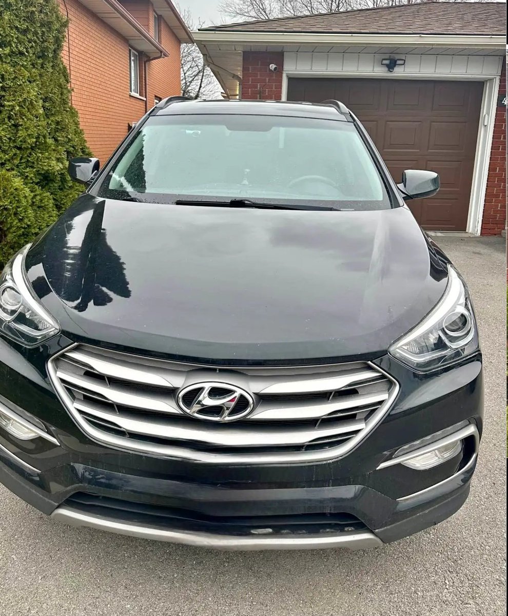 Millishield 01 🚘🌽🫑🌶🦈🐔 tweet media