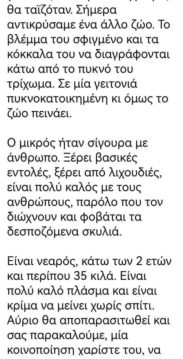 Christinalirou2's tweet photo. Πανόραμα Θεσσαλονίκης
‼️🆘‼️🆘‼️🆘‼️
Οι εθελοντές κάνουν έκκληση για Υιοθεσια. Κοινοποιούμε παιδιά μήπως βρεθεί οικογένεια που θα το αγκαλιάσει. Δεν θα τα καταφέρει στον δρόμο. 🏡🐕❤️✌️✌️✌️✌️✌️ https://t.co/ljW07Xd0r9