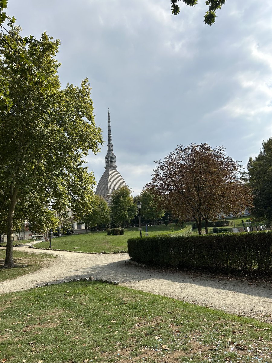 🫐sa¹⁶ tweet media