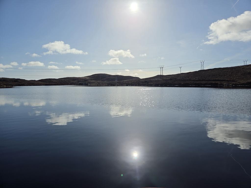 kenny bhoy 67cfc tweet media