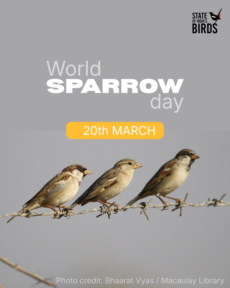 State of India's Birds tweet media