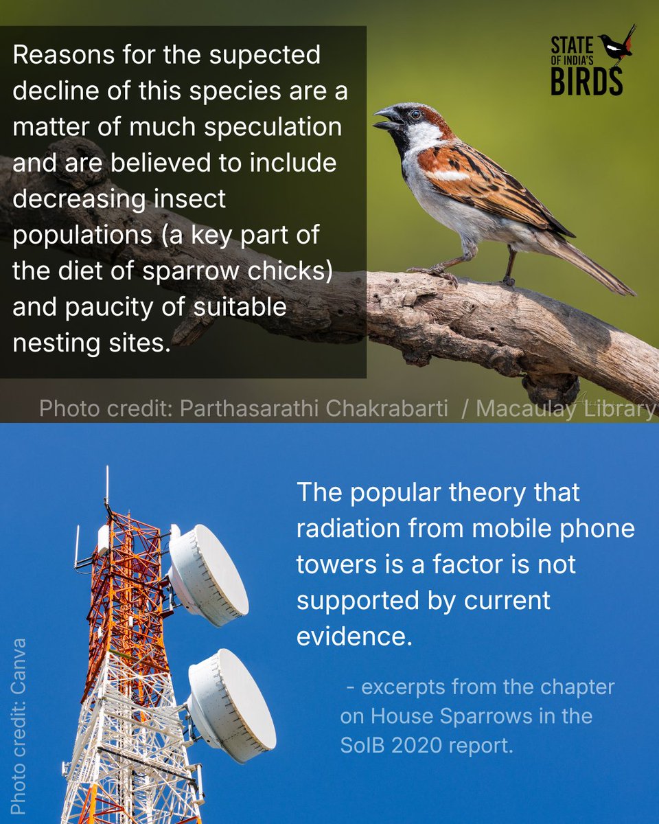 State of India's Birds tweet media