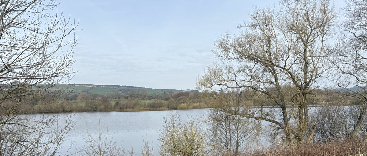 David Howe tweet media