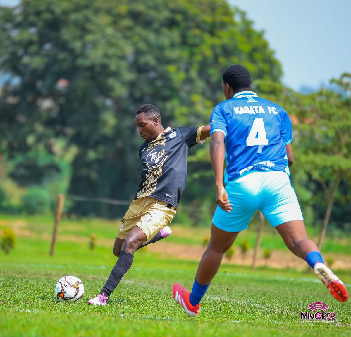 TEJ Bread and Pizzeria 🍞 🍕 tweet media