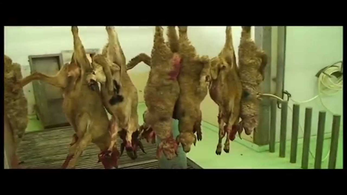 Martin E. Boyle tweet media