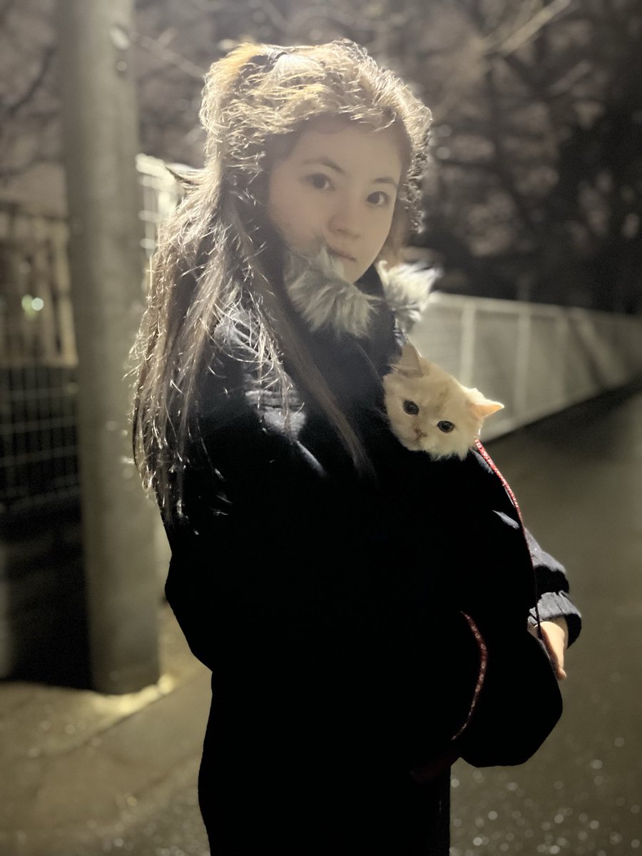 Hana8ighty7even's tweet photo. こんばんは♡ダイアナとお散歩。もうソメイヨシノ咲いてるんだね🌸 https://t.co/pxXhQjx3Er
