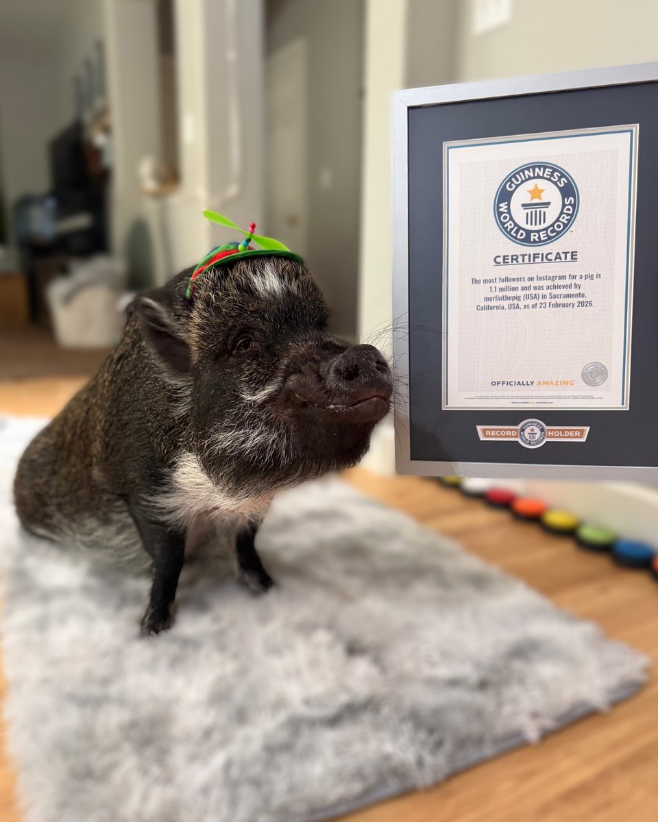 Guinness World Records tweet media