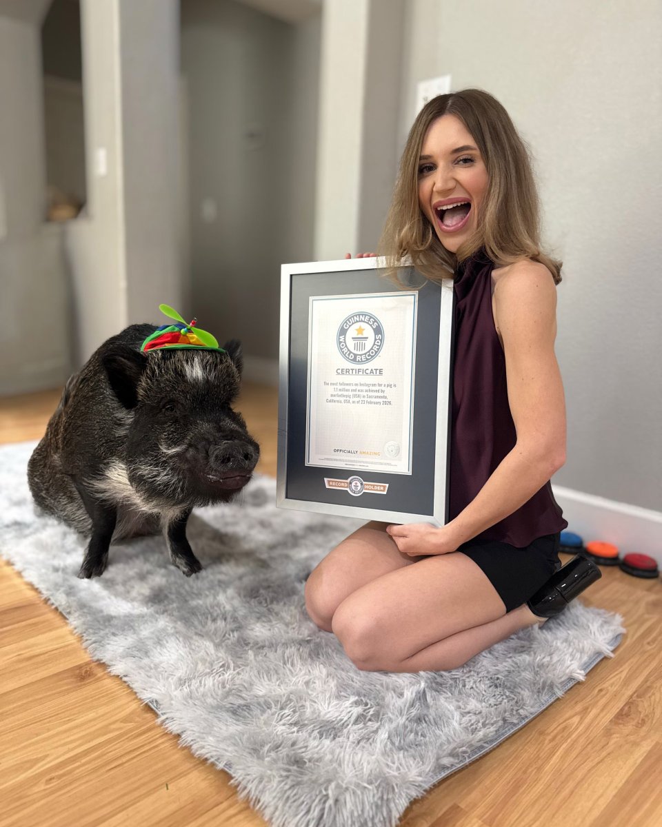 Guinness World Records tweet media