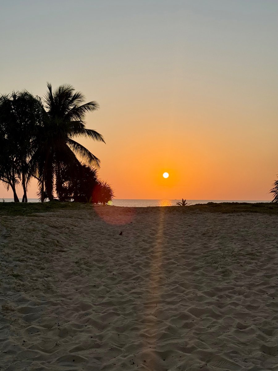 я всё tweet media