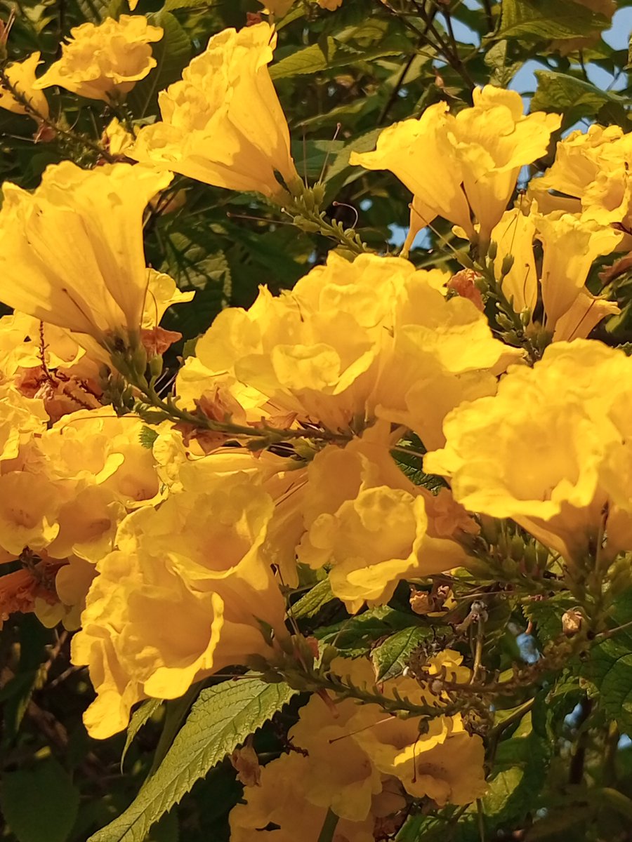 HitendraKr tweet media