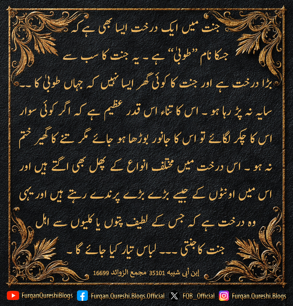 Furqan Qureshi Blogs tweet media