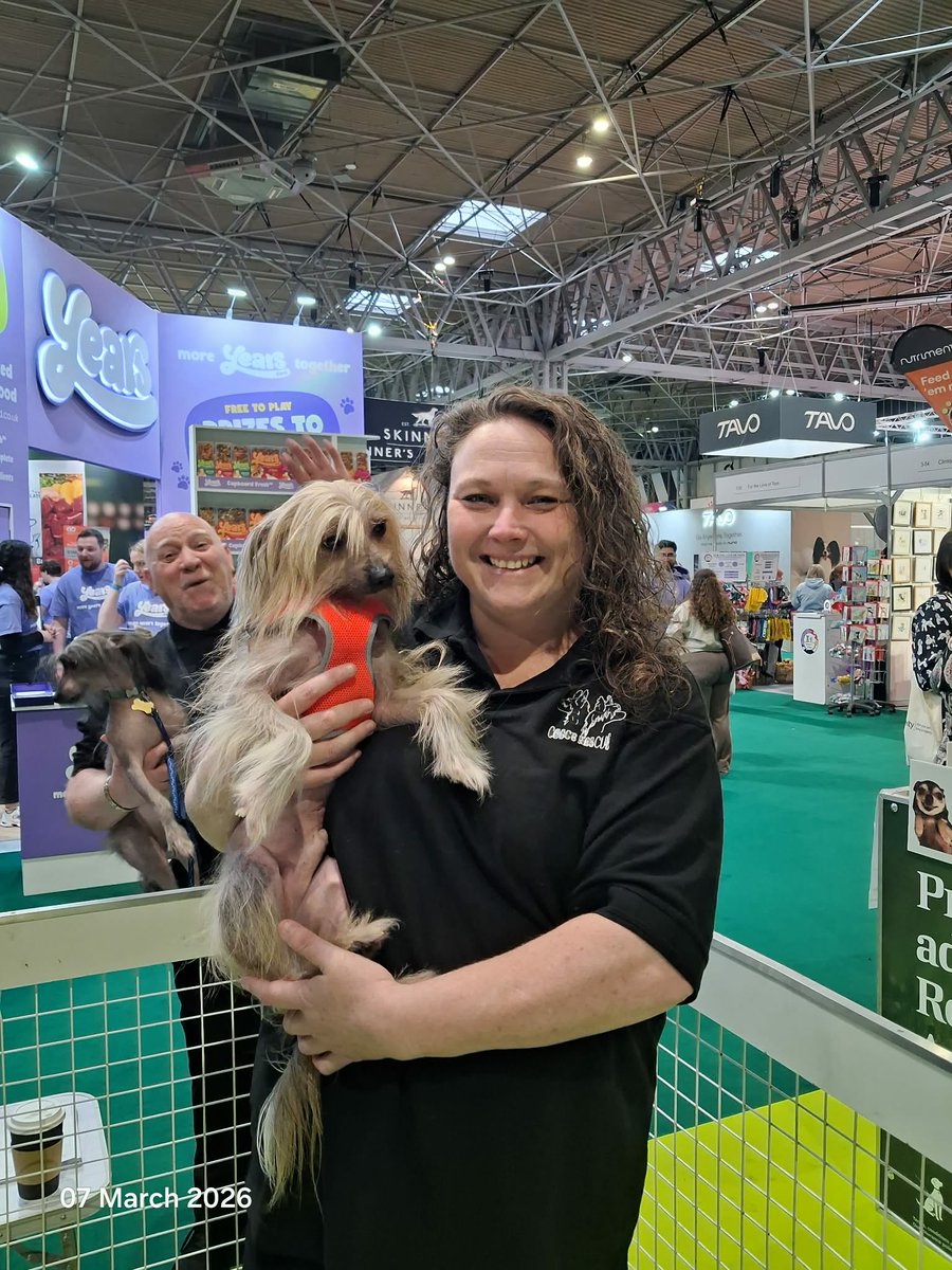 The Chinese Crested Club Of Great Britain Rescue tweet media