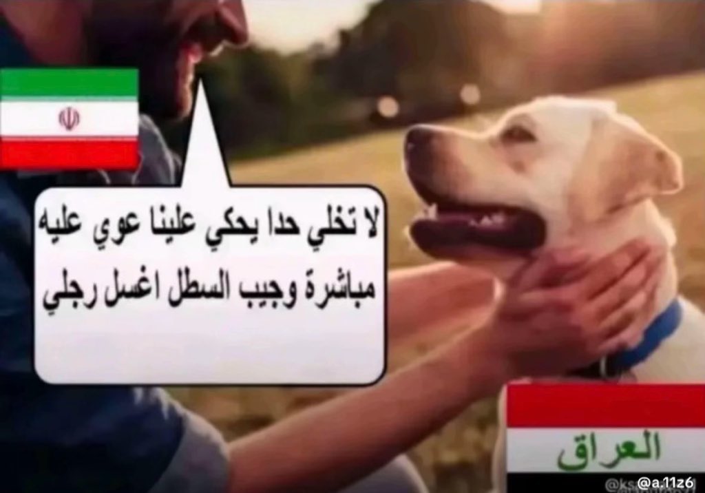 🇸🇦🐅 tweet media