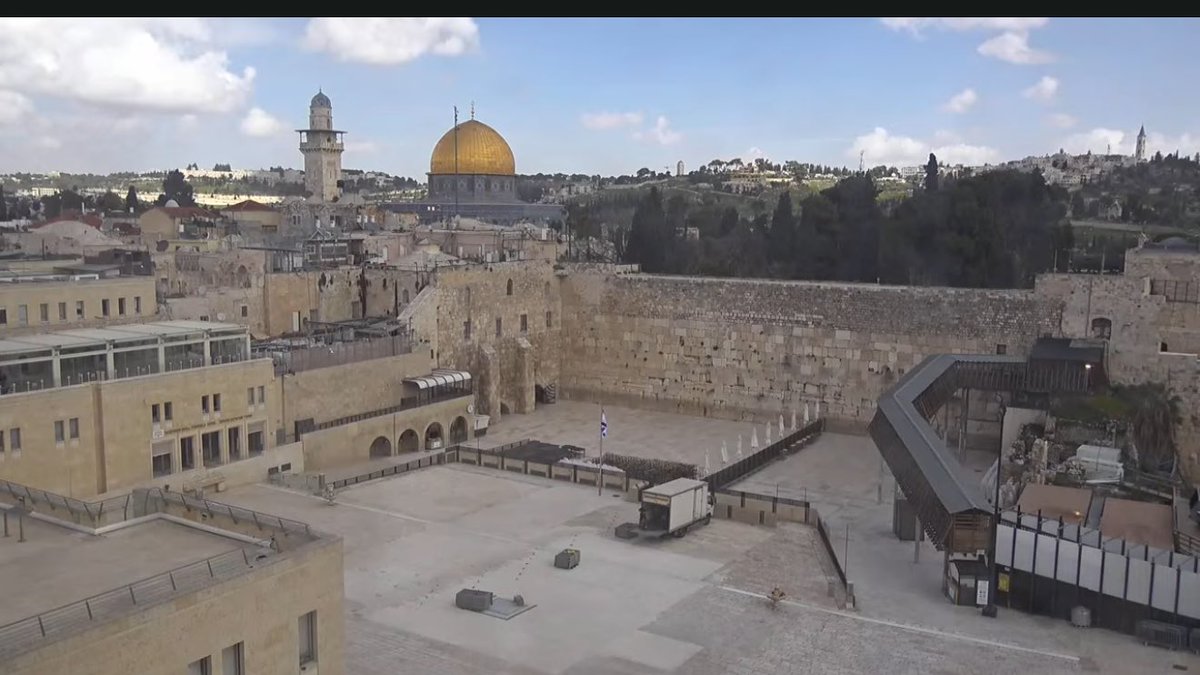 Avi Kaner ابراهيم אבי tweet media