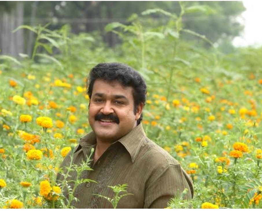 ΔSHШΣΠΓH⏳🦉 tweet media