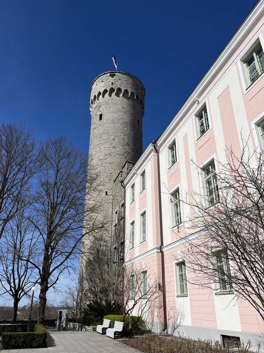 MIMOGY-ミモギィ-🎹🎤@4/4(土)19時～コロム配信ライブ tweet media