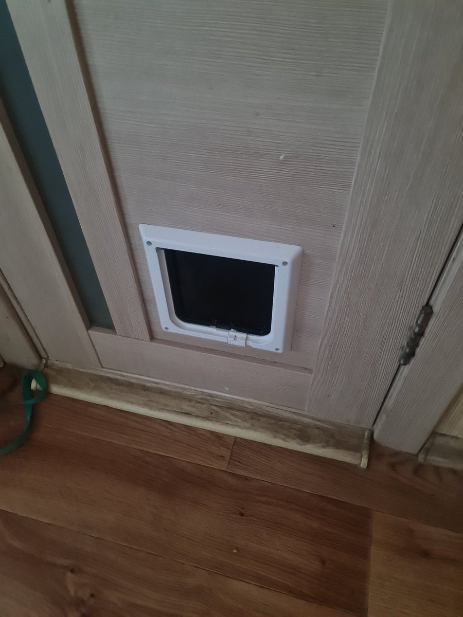 Dmitry G tweet media